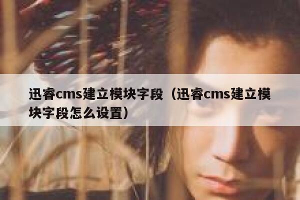 迅睿cms建立模块字段（迅睿cms建立模块字段怎么设置）