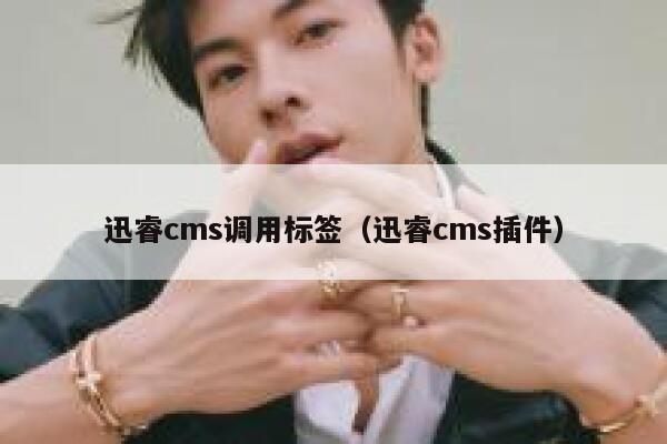 迅睿cms调用标签（迅睿cms插件）