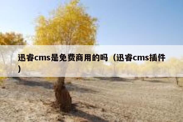 迅睿cms是免费商用的吗（迅睿cms插件）