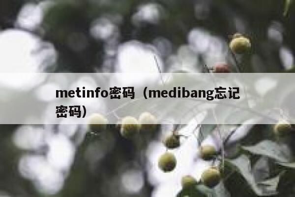 metinfo密码（medibang忘记密码）