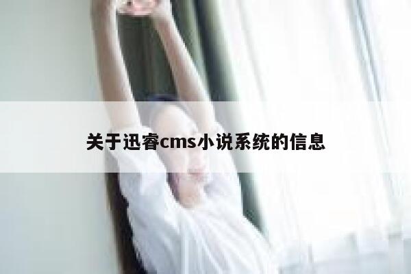 关于迅睿cms小说系统的信息