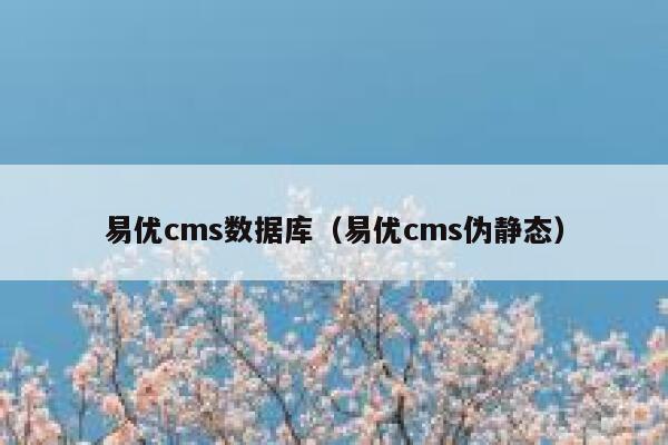 易优cms数据库（易优cms伪静态）