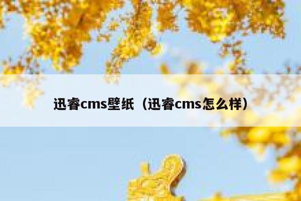 迅睿cms壁纸（迅睿cms怎么样）