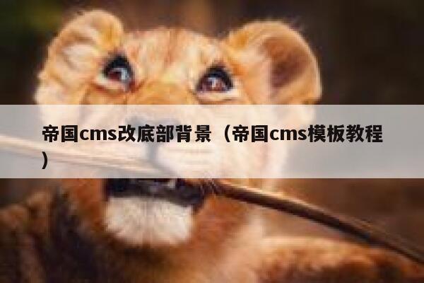 帝国cms改底部背景（帝国cms模板教程）