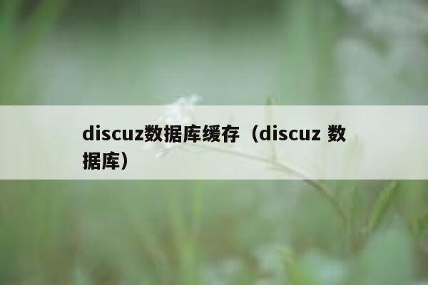 discuz数据库缓存（discuz 数据库）