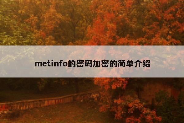 metinfo的密码加密的简单介绍