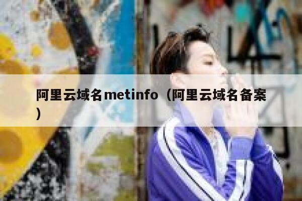 阿里云域名metinfo（阿里云域名备案）