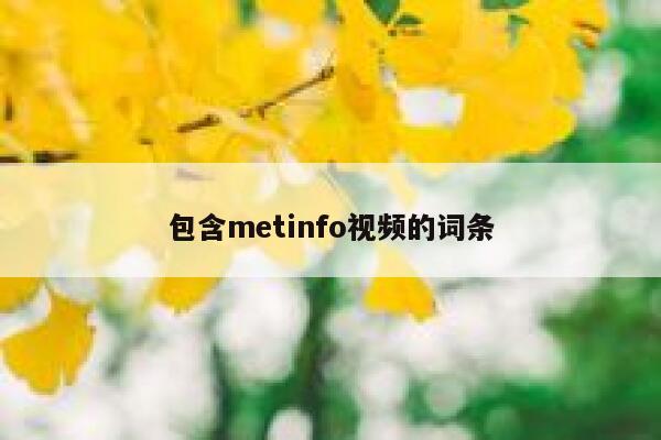 包含metinfo视频的词条