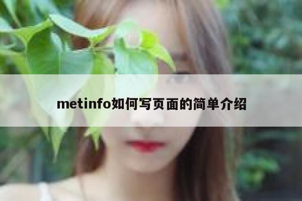 metinfo如何写页面的简单介绍