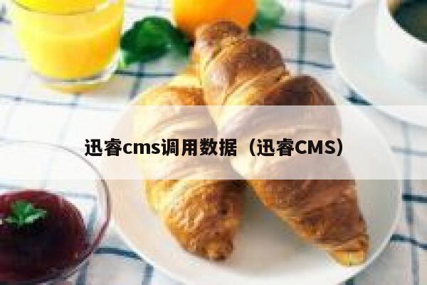 迅睿cms调用数据（迅睿CMS）