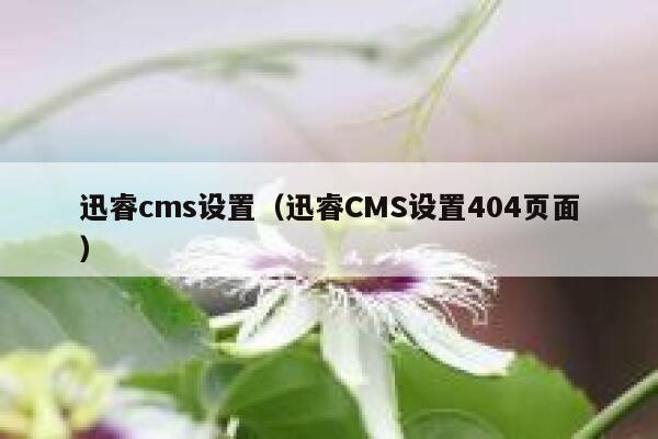 迅睿cms设置（迅睿CMS设置404页面）