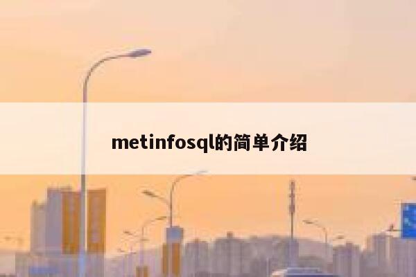 metinfosql的简单介绍