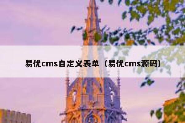 易优cms自定义表单（易优cms源码）