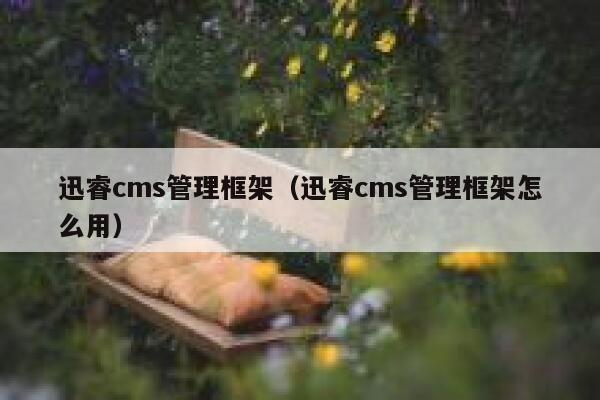 迅睿cms管理框架（迅睿cms管理框架怎么用）