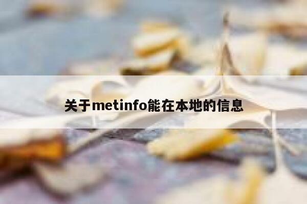 关于metinfo能在本地的信息 第1张