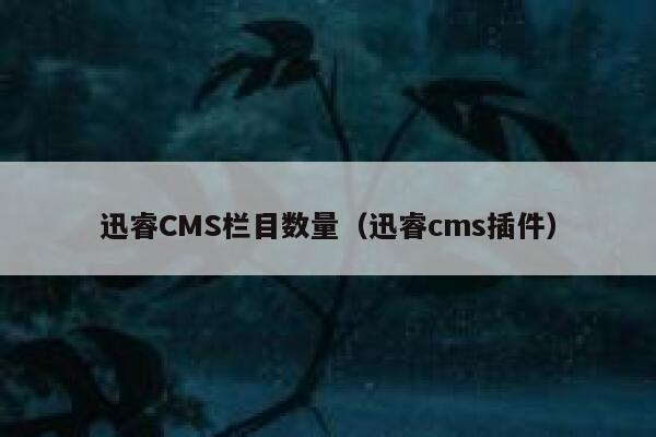 迅睿CMS栏目数量（迅睿cms插件）