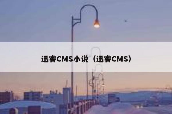 迅睿CMS小说（迅睿CMS）