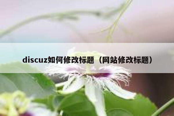 discuz如何修改标题（网站修改标题）