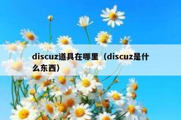 discuz道具在哪里（discuz是什么东西）