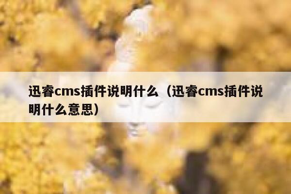 迅睿cms插件说明什么（迅睿cms插件说明什么意思）