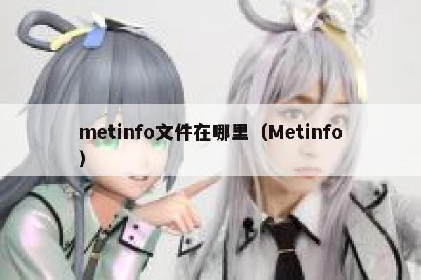 metinfo文件在哪里（Metinfo）