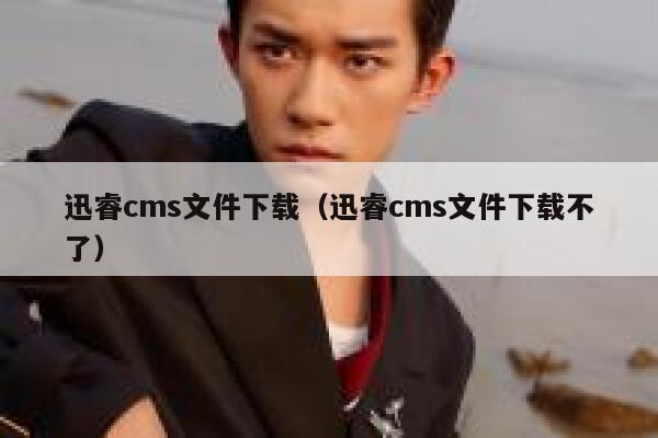 迅睿cms文件下载（迅睿cms文件下载不了）