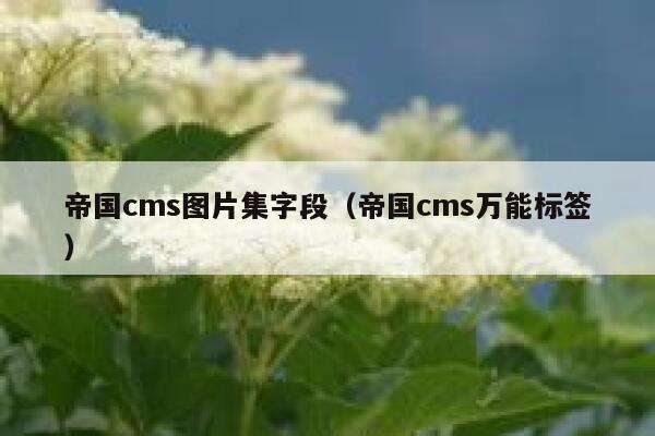 帝国cms图片集字段（帝国cms万能标签）