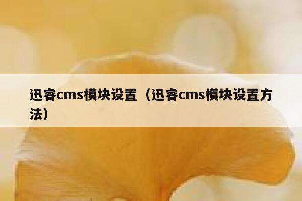 迅睿cms模块设置（迅睿cms模块设置方法）