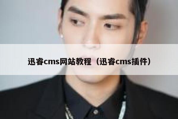 迅睿cms网站教程（迅睿cms插件）