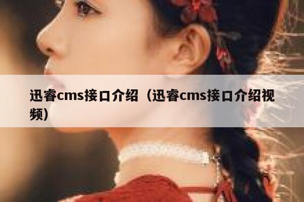 迅睿cms接口介绍（迅睿cms接口介绍视频）