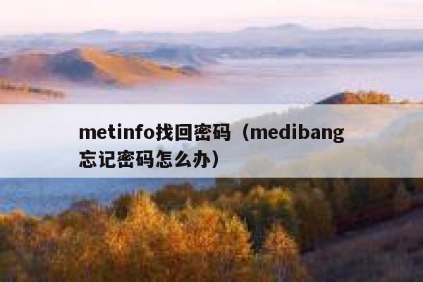 metinfo找回密码（medibang忘记密码怎么办）