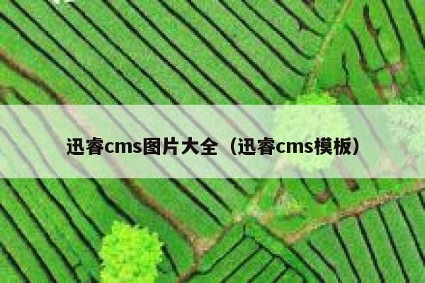 迅睿cms图片大全（迅睿cms模板）