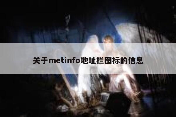 关于metinfo地址栏图标的信息