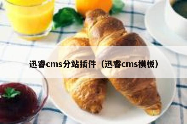 迅睿cms分站插件（迅睿cms模板）