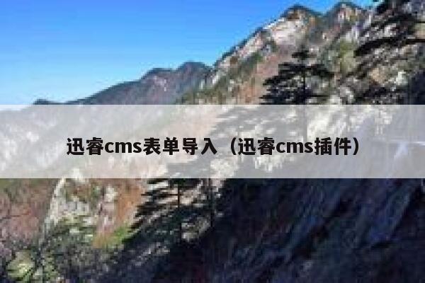 迅睿cms表单导入（迅睿cms插件）