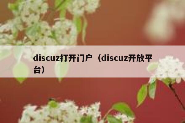 discuz打开门户（discuz开放平台）