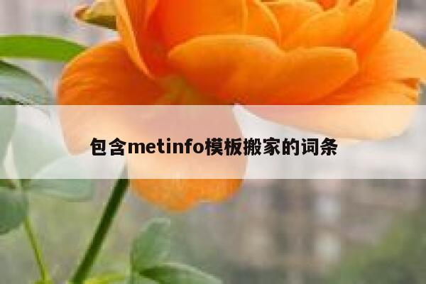 包含metinfo模板搬家的词条