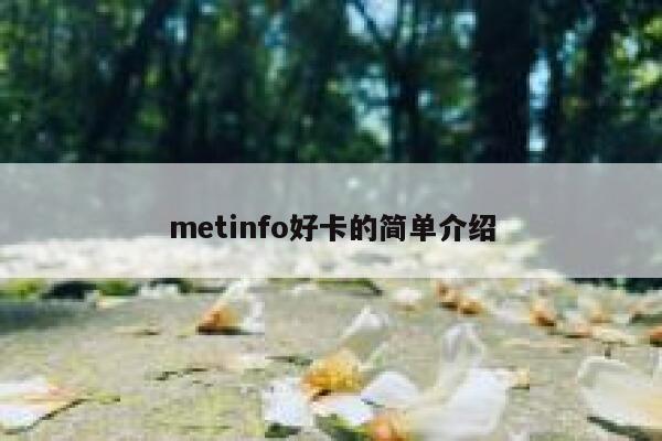 metinfo好卡的简单介绍