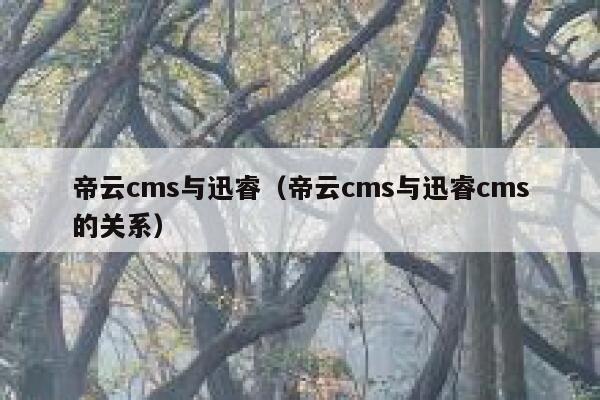 帝云cms与迅睿（帝云cms与迅睿cms的关系）