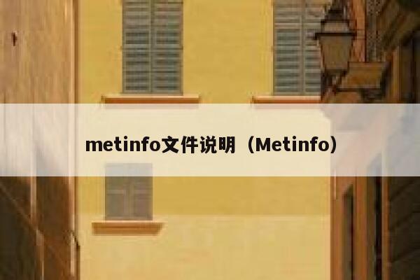 metinfo文件说明（Metinfo）