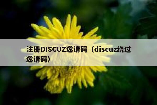 注册DISCUZ邀请码（discuz绕过邀请码）