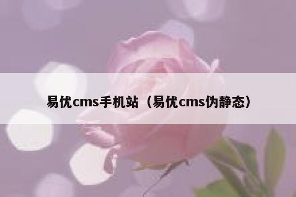 易优cms手机站（易优cms伪静态）