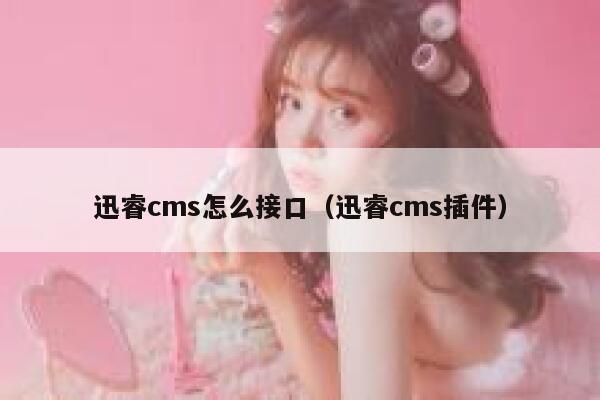 迅睿cms怎么接口（迅睿cms插件）