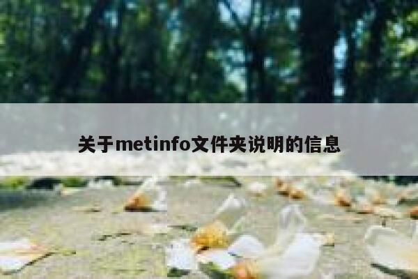 关于metinfo文件夹说明的信息