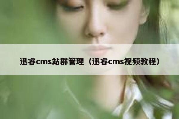 迅睿cms站群管理（迅睿cms视频教程）