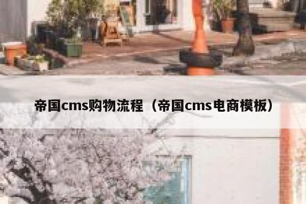 帝国cms购物流程（帝国cms电商模板）