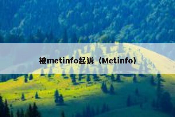 被metinfo起诉（Metinfo）