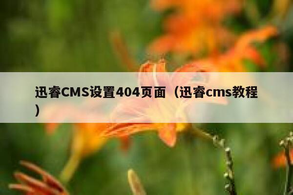 迅睿CMS设置404页面（迅睿cms教程）