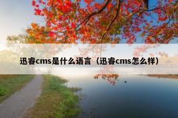 迅睿cms是什么语言（迅睿cms怎么样）