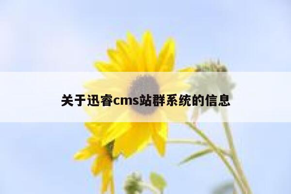 关于迅睿cms站群系统的信息